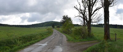 Konieczna, rozejście szlaków ↔ Konieczna, Dujawa