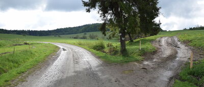 Konieczna, rozejście szlaków
