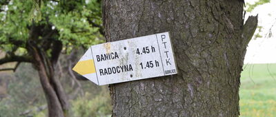 Konieczna, rozejście szlaków