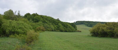 Za Przełęczą Beskidek