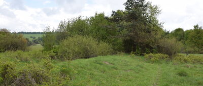 Za Przełęczą Beskidek ↔ Przełęcz pod Dębim Wierchem