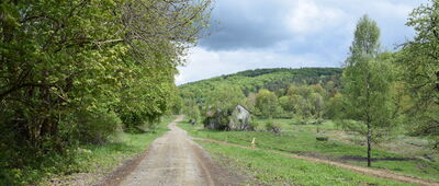 Radocyna ↔ Przełęcz pod Dębim Wierchem