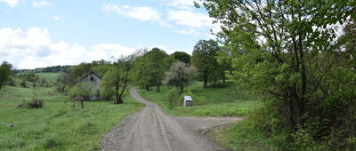 Radocyna