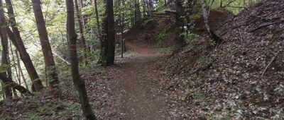 Doły Piekarskie ↔ Doły Piekarskie