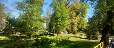 Rożental, skrzyżowanie ↔ Morzeszczyn