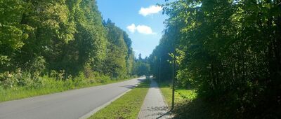 Morzeszczyn ↔ Gniew, ul. Gniewskie Młyny