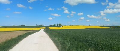 Gorzędziej ↔ Subkowy