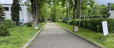 Hala Radziechowska ↔ Węgierska Górka