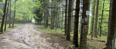 Skrzyżowanie przy Słowiance