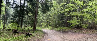 Skrzyżowanie przy Słowiance