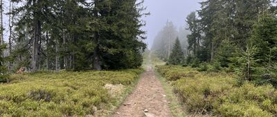 Pod Muńczolikiem ↔ Hala Cebulowa