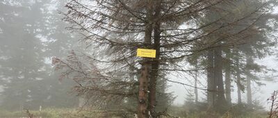 Mędralowa ↔ Modralová