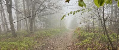 Modralová ↔ Pod Mędralową