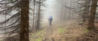 Żywieckie Rozstaje ↔ Fickowe Rozstaje