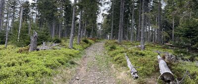 Rozejście pod Brożkami