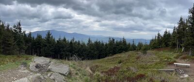 Cyl Hali Śmietanowej