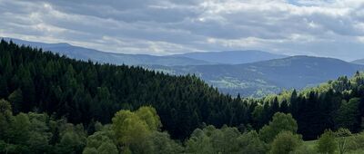 Krzeszów, kościół ↔ Stryszawa, Podlas