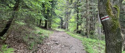 Pod Palusową Górą ↔ Krzeszów