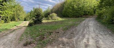 Przełęcz Wł. Midowicza