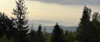 Leskowiec