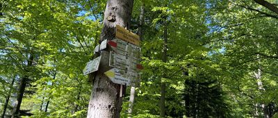 Przełęcz Na Przykrej