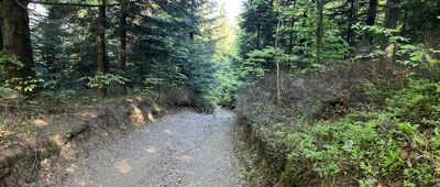 Przełęcz Zakocierska ↔ Przełęcz Na Przykrej