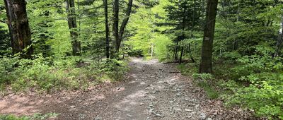 Przełęcz Przysłop Cisowy ↔ Zajazd nad Przełęczą Kocierską, rozejście szlaków