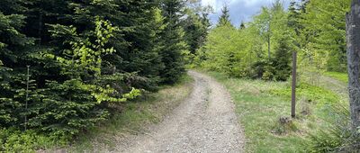 Przełęcz Przysłop Cisowy