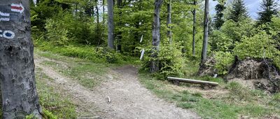 Przełęcz Przysłop Cisowy