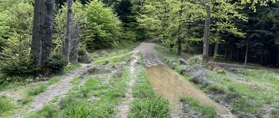 Przełęcz Przysłop Cisowy