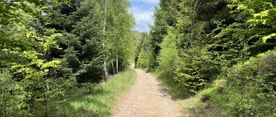 Pod Wielkim Cisownikiem ↔ Przełęcz Przysłop Cisowy