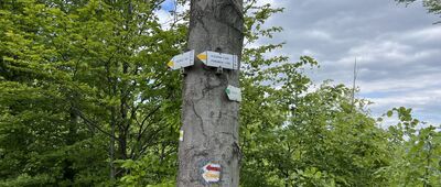 Przełęcz Isepnicka