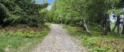 Kiczera ↔ Przełęcz Isepnicka