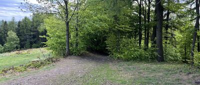 Kiczera