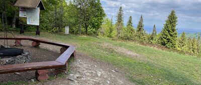 Kiczera