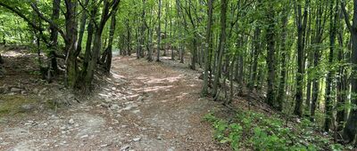 Pod Żarem, odejście szlaku czarnego