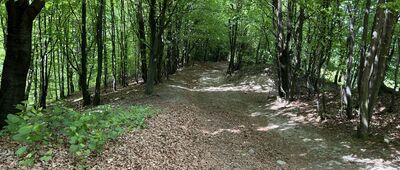 Pod Żarem, odejście szlaku czarnego