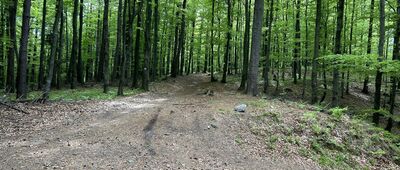 Bujakowski Groń