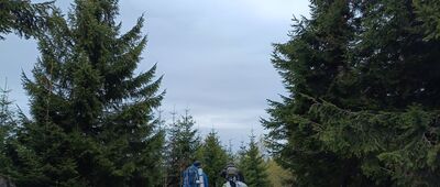 Rozdziele