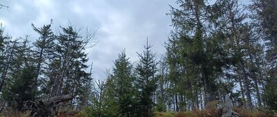 Kudłoń, rozejście szlaków