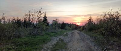 Rozdziele ↔ Turbacz