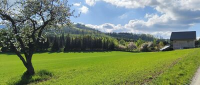 Janowiec ↔ Laskówka