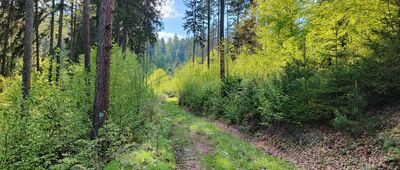 Laskówka ↔ Ożary Górne