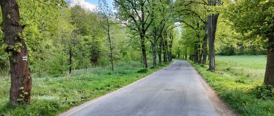 Ożary Górne