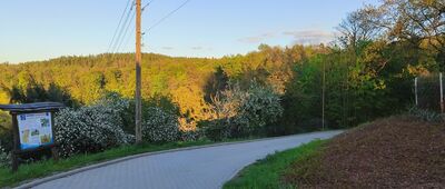 Złoty Stok, mennica