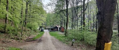 Skalisko, parking ↔ Przełęcz Jawornicka