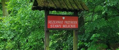 Rozejście szlaków