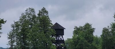 Wieża Ptaków Niebieskich ↔ Grabownica