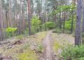 Pod Wikowską Górą ↔ Uroczysko Biela