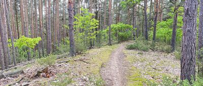 Pod Wikowską Górą ↔ Uroczysko Biela